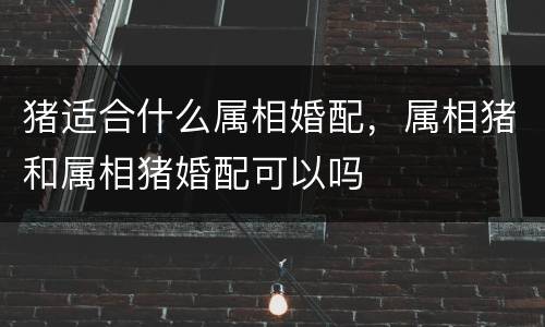 猪适合什么属相婚配，属相猪和属相猪婚配可以吗