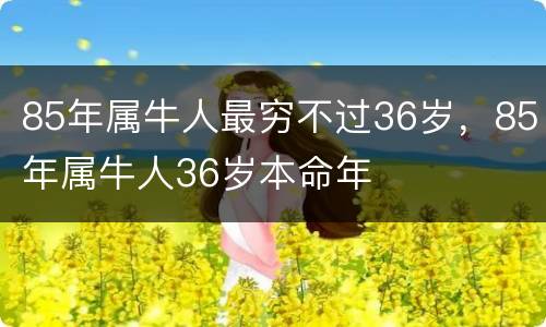 85年属牛人最穷不过36岁，85年属牛人36岁本命年