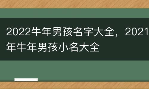 2022牛年男孩名字大全，2021年牛年男孩小名大全