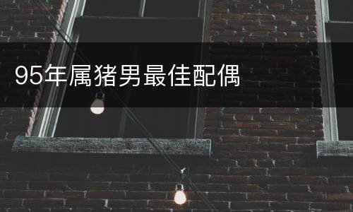 95年属猪男最佳配偶