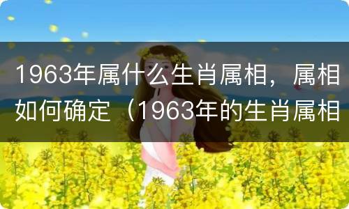 1963年属什么生肖属相，属相如何确定（1963年的生肖属相）
