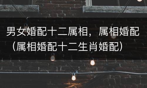 男女婚配十二属相，属相婚配（属相婚配十二生肖婚配）