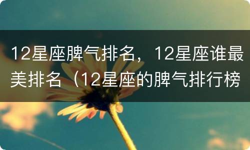 12星座脾气排名，12星座谁最美排名（12星座的脾气排行榜）