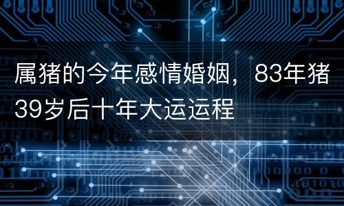 属猪的今年感情婚姻，83年猪39岁后十年大运运程