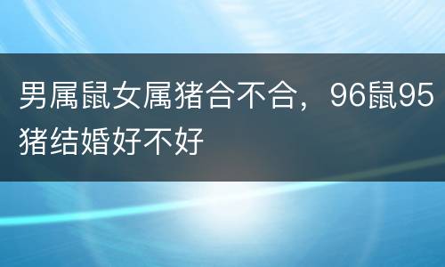 男属鼠女属猪合不合，96鼠95猪结婚好不好