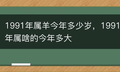 1991年属羊今年多少岁，1991年属啥的今年多大