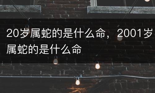20岁属蛇的是什么命，2001岁属蛇的是什么命
