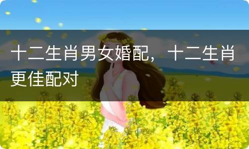 十二生肖男女婚配，十二生肖更佳配对