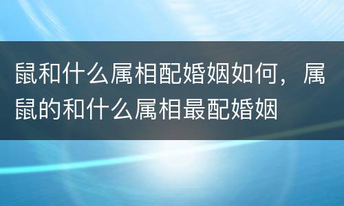 鼠和什么属相配婚姻如何，属鼠的和什么属相最配婚姻