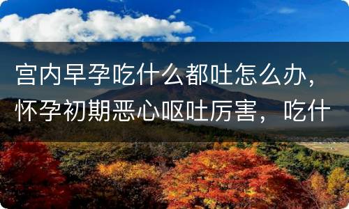 宫内早孕吃什么都吐怎么办，怀孕初期恶心呕吐厉害，吃什么可以缓解，不那么