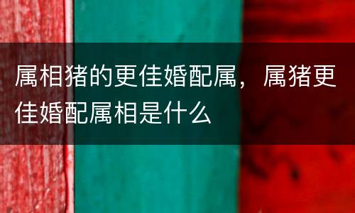 属相猪的更佳婚配属，属猪更佳婚配属相是什么