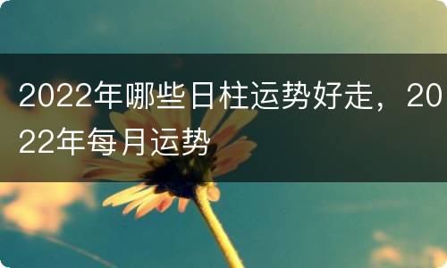 2022年哪些日柱运势好走，2022年每月运势