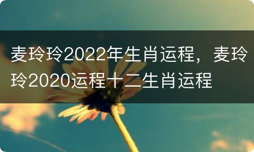 麦玲玲2022年生肖运程，麦玲玲2020运程十二生肖运程