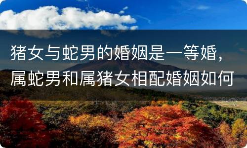 猪女与蛇男的婚姻是一等婚，属蛇男和属猪女相配婚姻如何