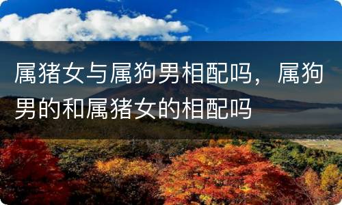 属猪女与属狗男相配吗，属狗男的和属猪女的相配吗