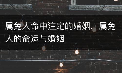属兔人命中注定的婚姻，属兔人的命运与婚姻