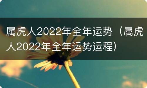 属虎人2022年全年运势（属虎人2022年全年运势运程）