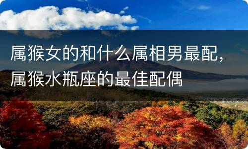 属猴女的和什么属相男最配，属猴水瓶座的最佳配偶