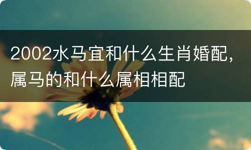 2002水马宜和什么生肖婚配，属马的和什么属相相配