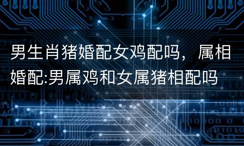 男生肖猪婚配女鸡配吗，属相婚配:男属鸡和女属猪相配吗