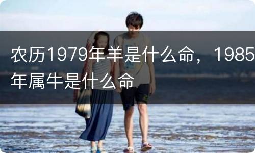 农历1979年羊是什么命，1985年属牛是什么命