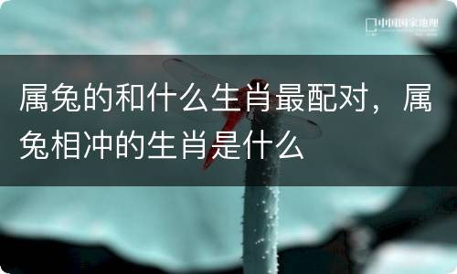 属兔的和什么生肖最配对，属兔相冲的生肖是什么
