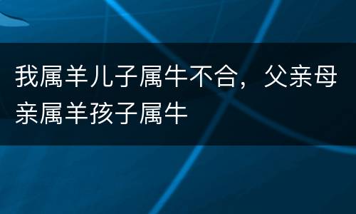 我属羊儿子属牛不合，父亲母亲属羊孩子属牛