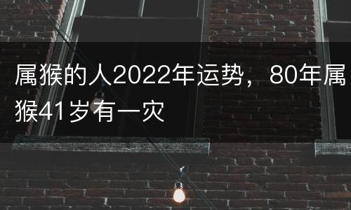 属猴的人2022年运势，80年属猴41岁有一灾