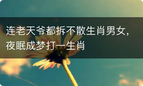 连老天爷都拆不散生肖男女，夜眠成梦打一生肖