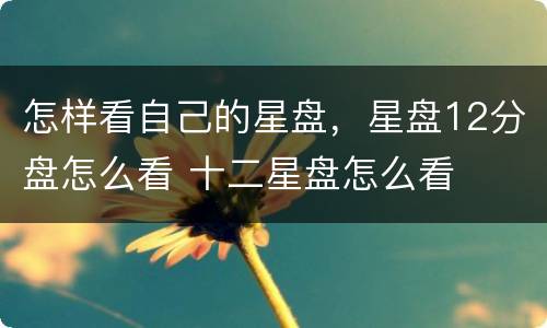 怎样看自己的星盘，星盘12分盘怎么看 十二星盘怎么看