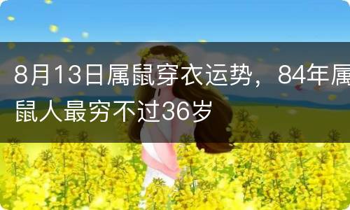 8月13日属鼠穿衣运势，84年属鼠人最穷不过36岁