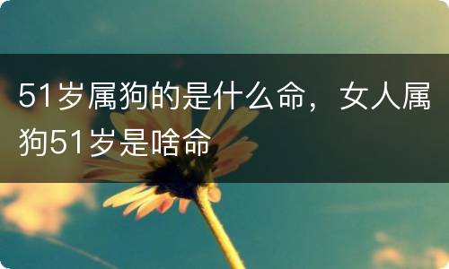 51岁属狗的是什么命，女人属狗51岁是啥命