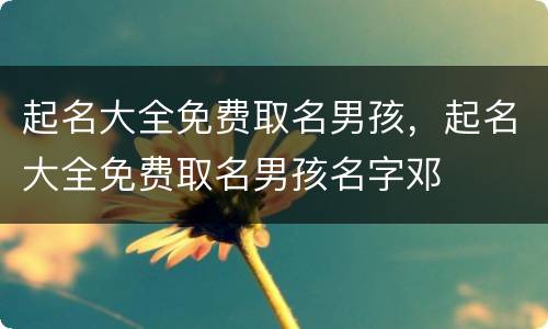 起名大全免费取名男孩，起名大全免费取名男孩名字邓