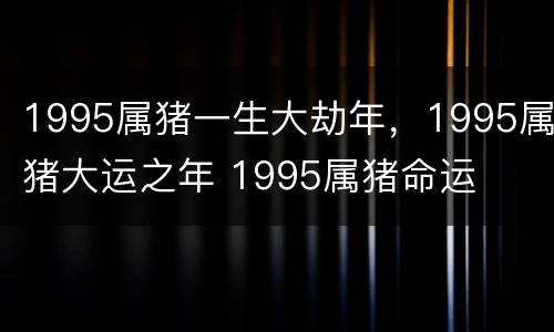 1995属猪一生大劫年，1995属猪大运之年 1995属猪命运