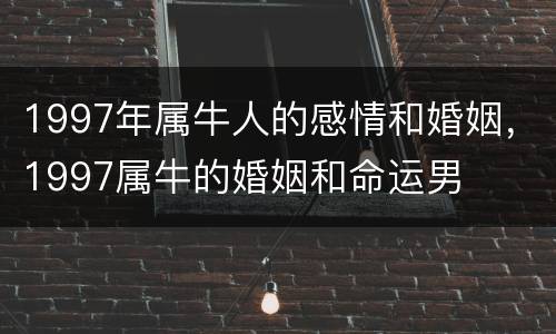 1997年属牛人的感情和婚姻，1997属牛的婚姻和命运男