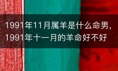 1991年11月属羊是什么命男，1991年十一月的羊命好不好