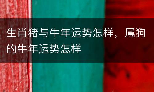 生肖猪与牛年运势怎样，属狗的牛年运势怎样