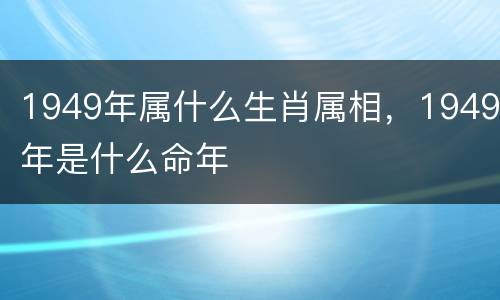 1949年属什么生肖属相，1949年是什么命年