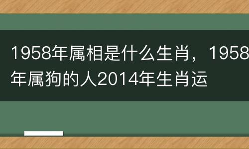 1958年属相是什么生肖，1958年属狗的人2014年生肖运
