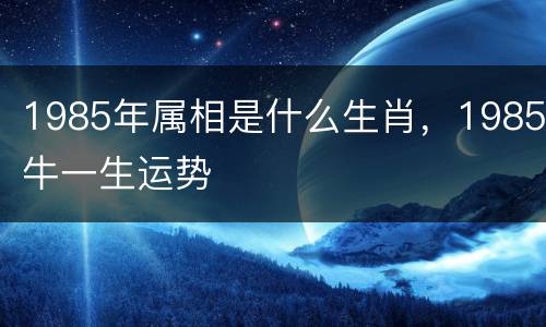 1985年属相是什么生肖，1985牛一生运势