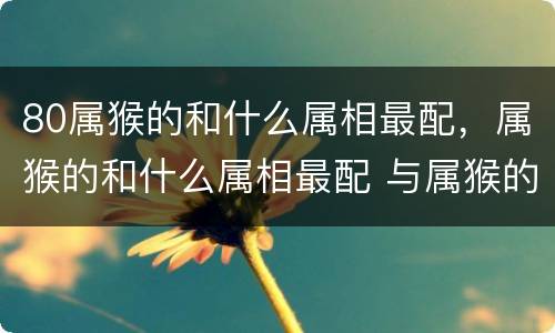 80属猴的和什么属相最配，属猴的和什么属相最配 与属猴的人最