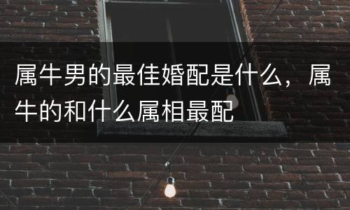 属牛男的最佳婚配是什么，属牛的和什么属相最配