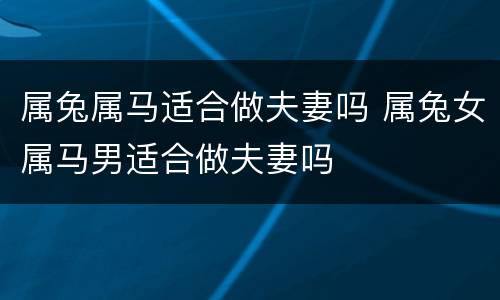 属兔属马适合做夫妻吗 属兔女属马男适合做夫妻吗