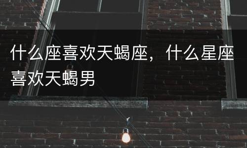 什么座喜欢天蝎座，什么星座喜欢天蝎男