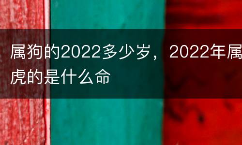 属狗的2022多少岁，2022年属虎的是什么命