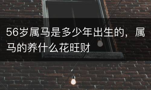 56岁属马是多少年出生的，属马的养什么花旺财