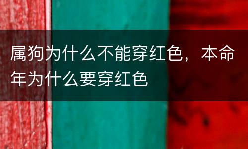 属狗为什么不能穿红色，本命年为什么要穿红色