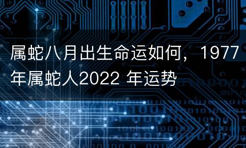 属蛇八月出生命运如何，1977年属蛇人2022 年运势