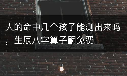 人的命中几个孩子能测出来吗，生辰八字算子嗣免费