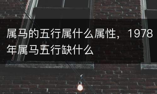 属马的五行属什么属性，1978年属马五行缺什么
